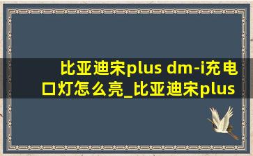 比亚迪宋plus dm-i充电口灯怎么亮_比亚迪宋plus dm-i充电口灯不亮